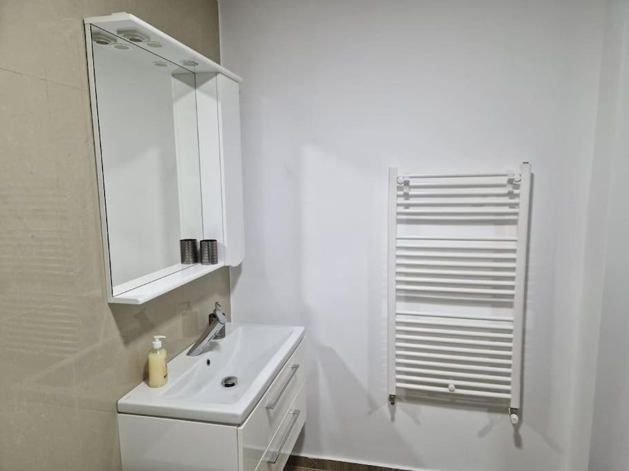 Danube Double Apartment Brăila Exterior foto